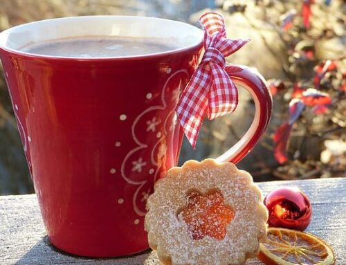 Five things to do in Newton this weekend