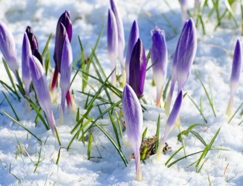 Five things to do in Newton this weekend