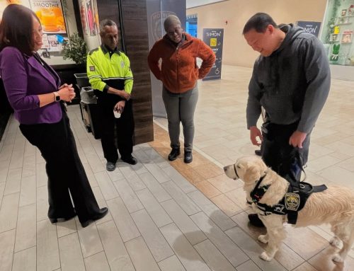 In Brief: Maps, paddles, trivia victory and more