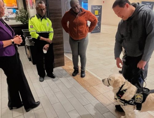 In Brief: Maps, paddles, trivia victory and more