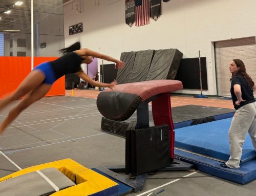 After first state championship win since 1972, Newton North gymnasts ready for New England meet