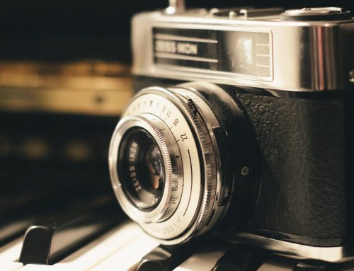 Seven things to do in Newton this weekend