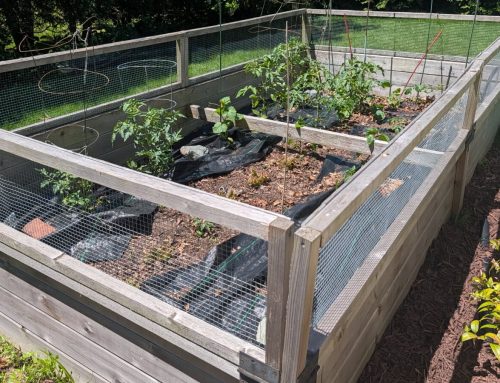 City Council mulls raised flower bed setback requirements