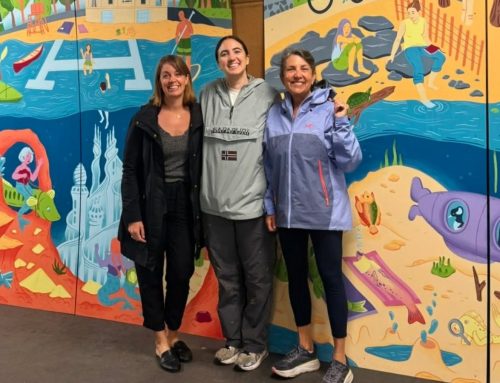 Crystal Lake bathhouse gets an artful new look, thanks to Spark Newton