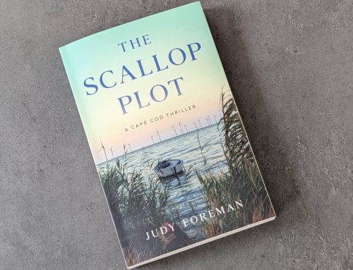 Longtime Newtonian Judy Foreman releases mystery novel set on Cape Cod