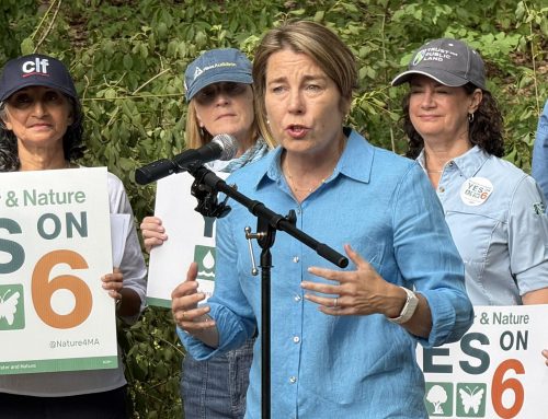 Gov. Healey speaks at rally in support of Ballot Question 6